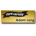 2.75" x 1" Gold Aluminum Name Badge/ Digitally printed